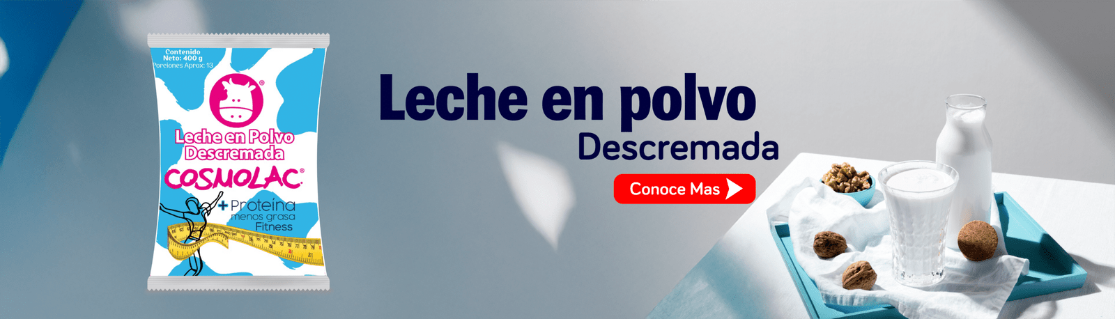 Leche en polvo descremada